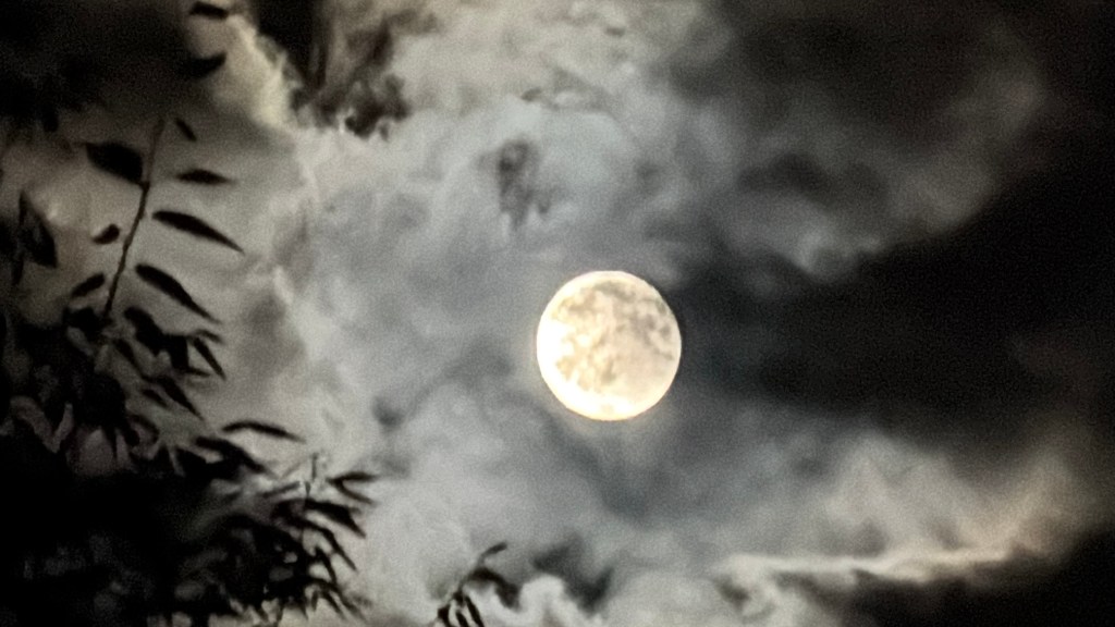 The Corn Moon&nbsp;Calls